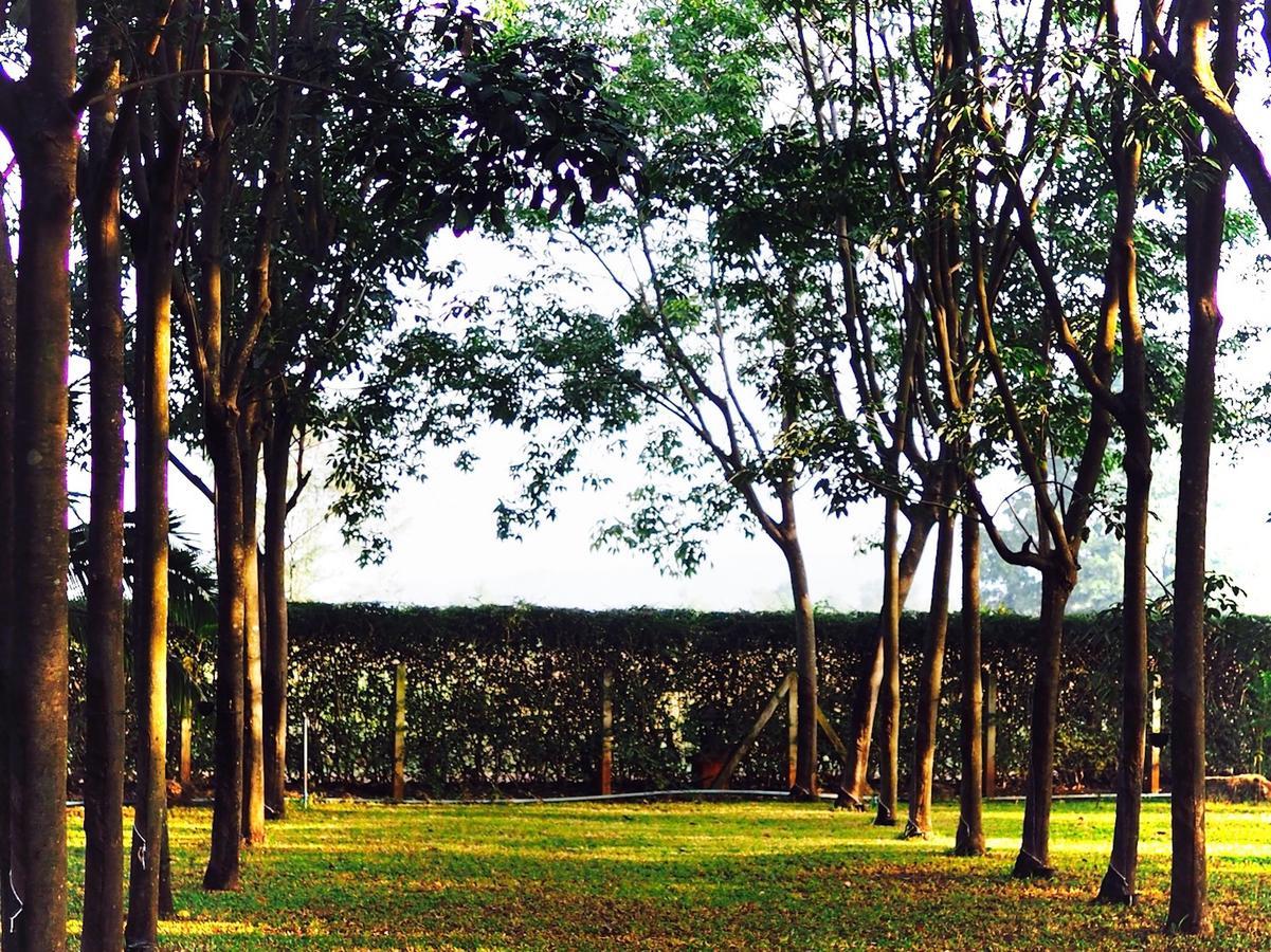 Singha Rubber Tree Hotel ไทรโยค ภายนอก รูปภาพ