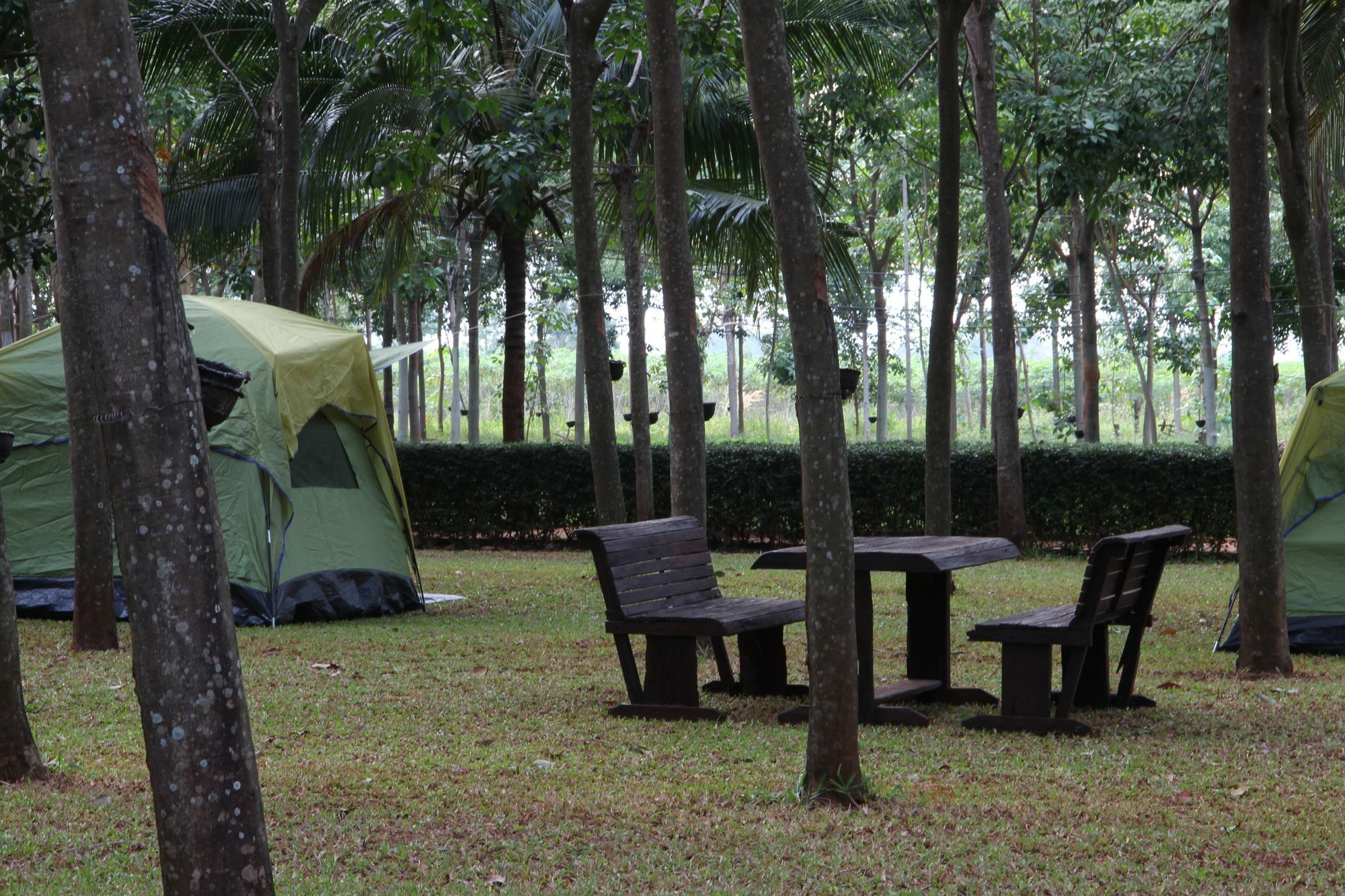 Singha Rubber Tree Hotel ไทรโยค ภายนอก รูปภาพ