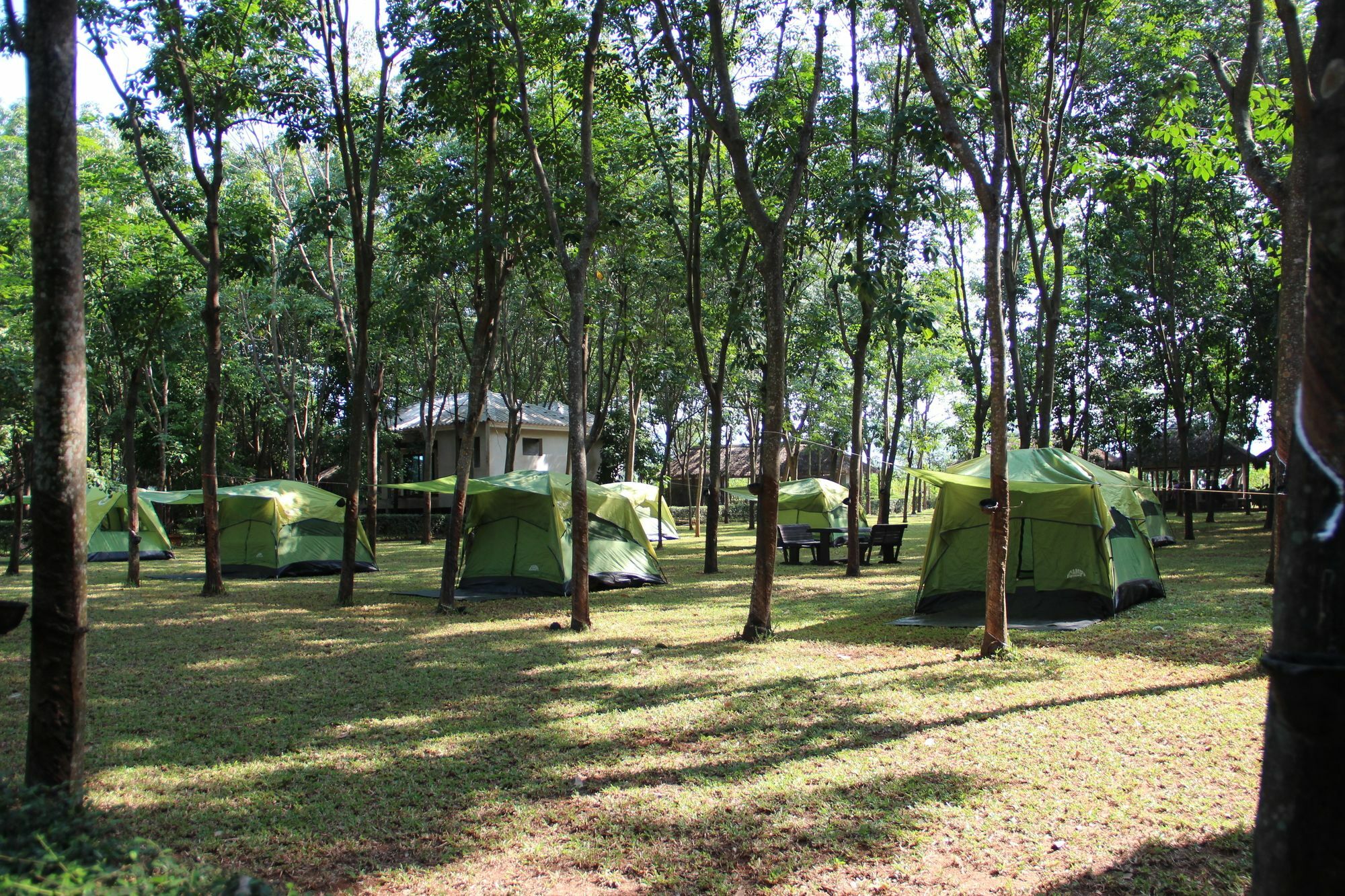 Singha Rubber Tree Hotel ไทรโยค ภายนอก รูปภาพ